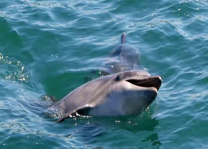 דירה Sea And Marina View שטובל